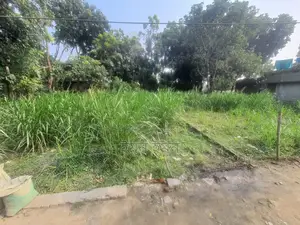Residential Land in Deluabari, West of Lily Hall Intersection, Rajshahi