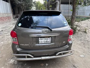 Toyota Axio 2010 Gray