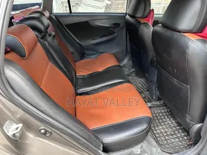 Toyota Axio 2010 Gray