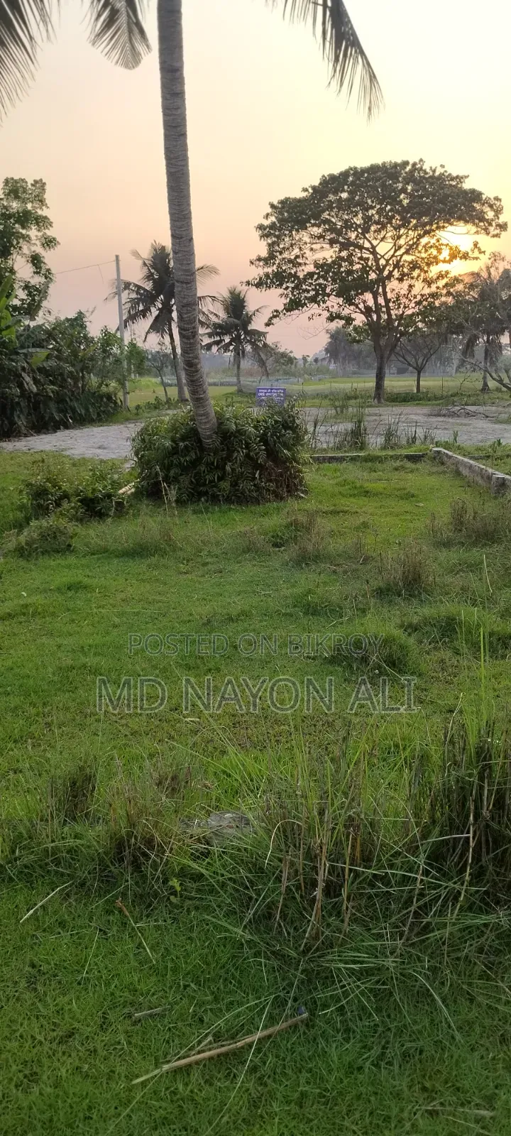 Land for Sale in Nijkhamar