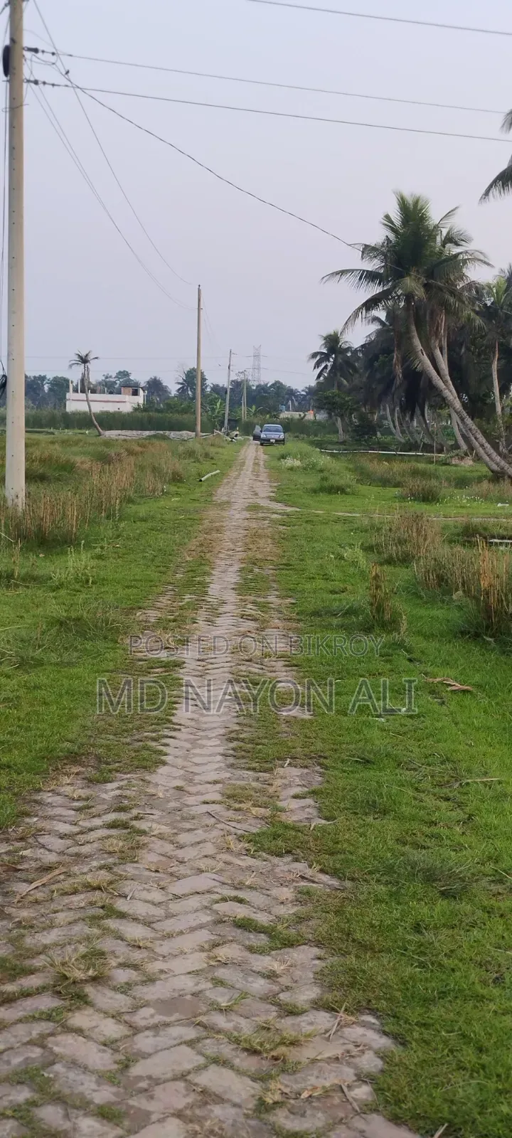 Land for Sale in Nijkhamar