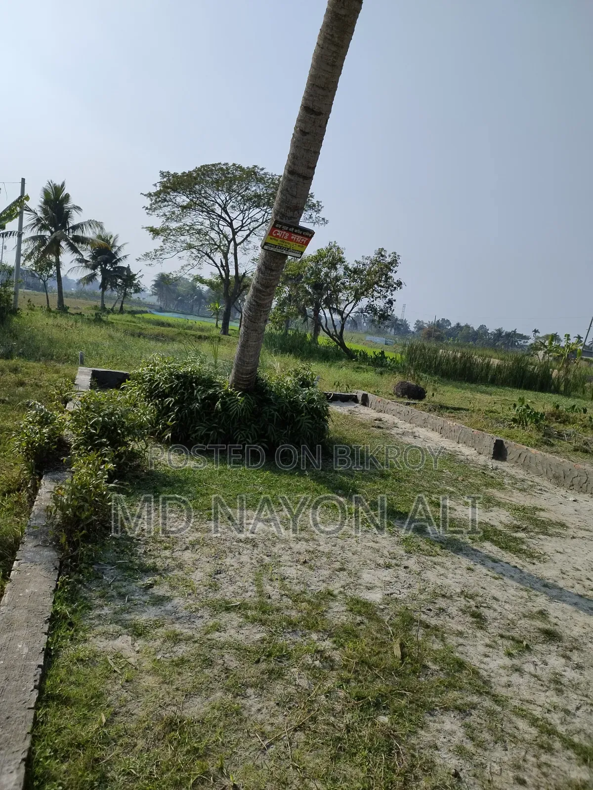 Land for Sale in Nijkhamar