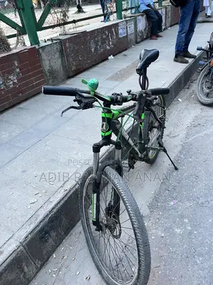 Phoenix Cycle