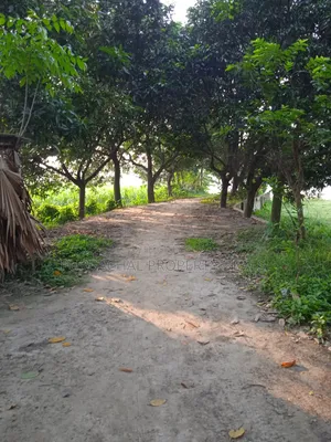 প্রকৃতির মাঝে শীতলক্ষ্যা নদী ভিউ ৩২ শতাংশ বাগান বাড়ির জমি বিক্রয় হবে