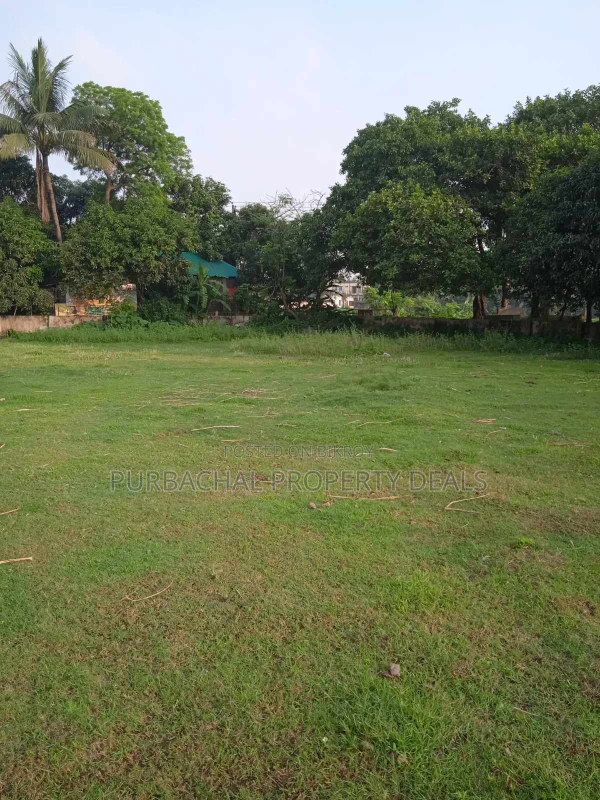 প্রকৃতির মাঝে শীতলক্ষ্যা নদী ভিউ ৩২ শতাংশ বাগান বাড়ির জমি বিক্রয় হবে