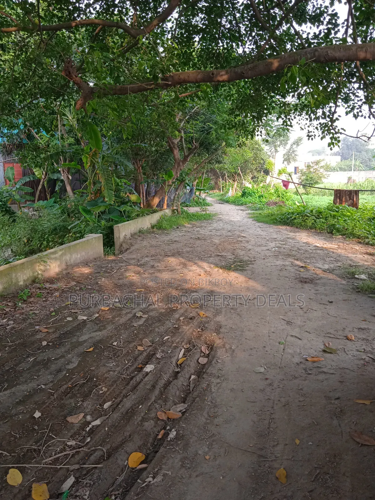 প্রকৃতির মাঝে শীতলক্ষ্যা নদী ভিউ ৩২ শতাংশ বাগান বাড়ির জমি বিক্রয় হবে