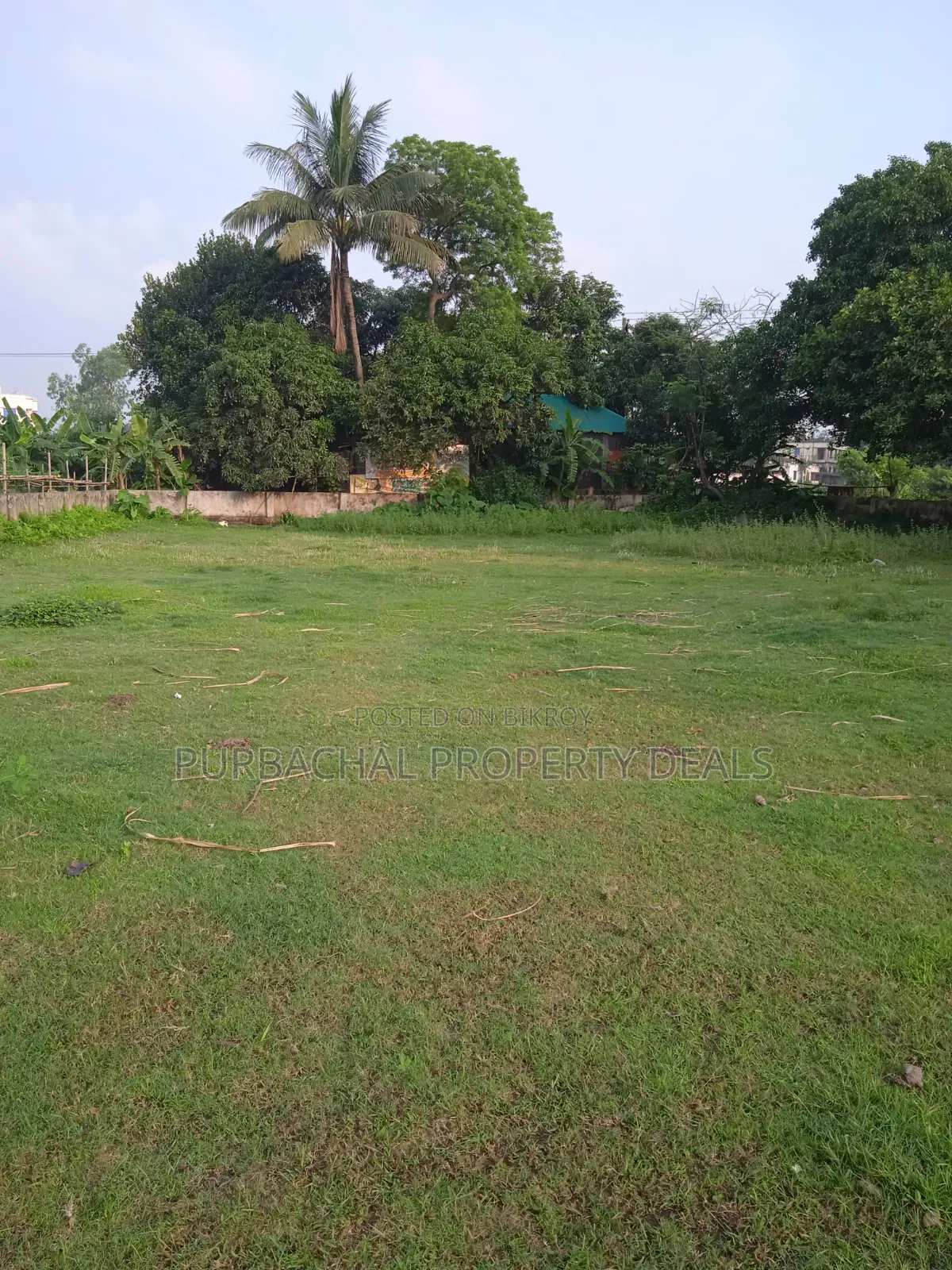 প্রকৃতির মাঝে শীতলক্ষ্যা নদী ভিউ ৩২ শতাংশ বাগান বাড়ির জমি বিক্রয় হবে