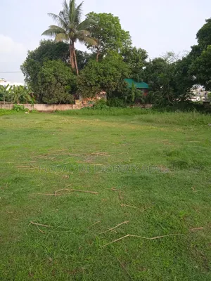 প্রকৃতির মাঝে শীতলক্ষ্যা নদী ভিউ ৩২ শতাংশ বাগান বাড়ির জমি বিক্রয় হবে