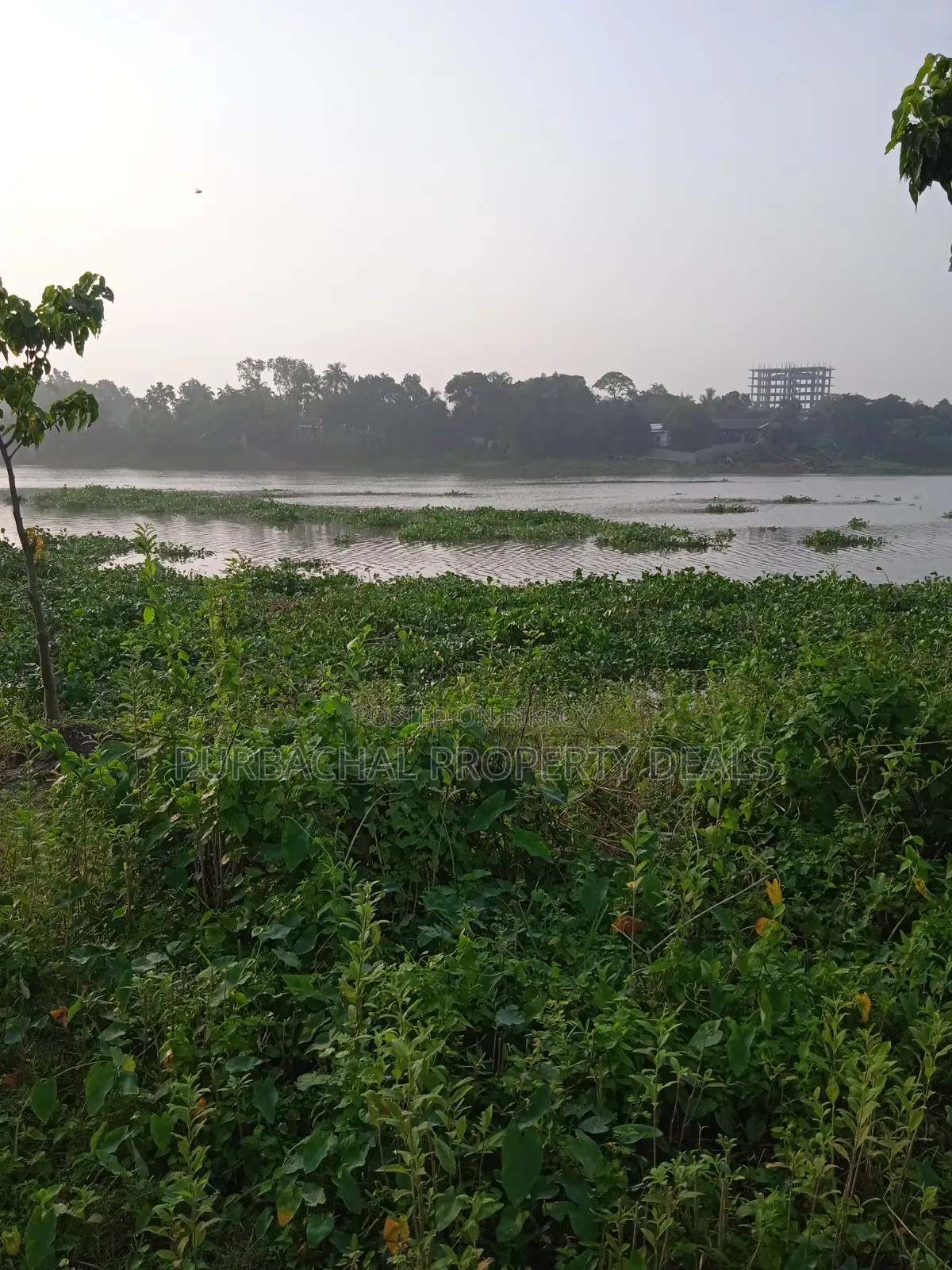 প্রকৃতির মাঝে শীতলক্ষ্যা নদী ভিউ ৩২ শতাংশ বাগান বাড়ির জমি বিক্রয় হবে