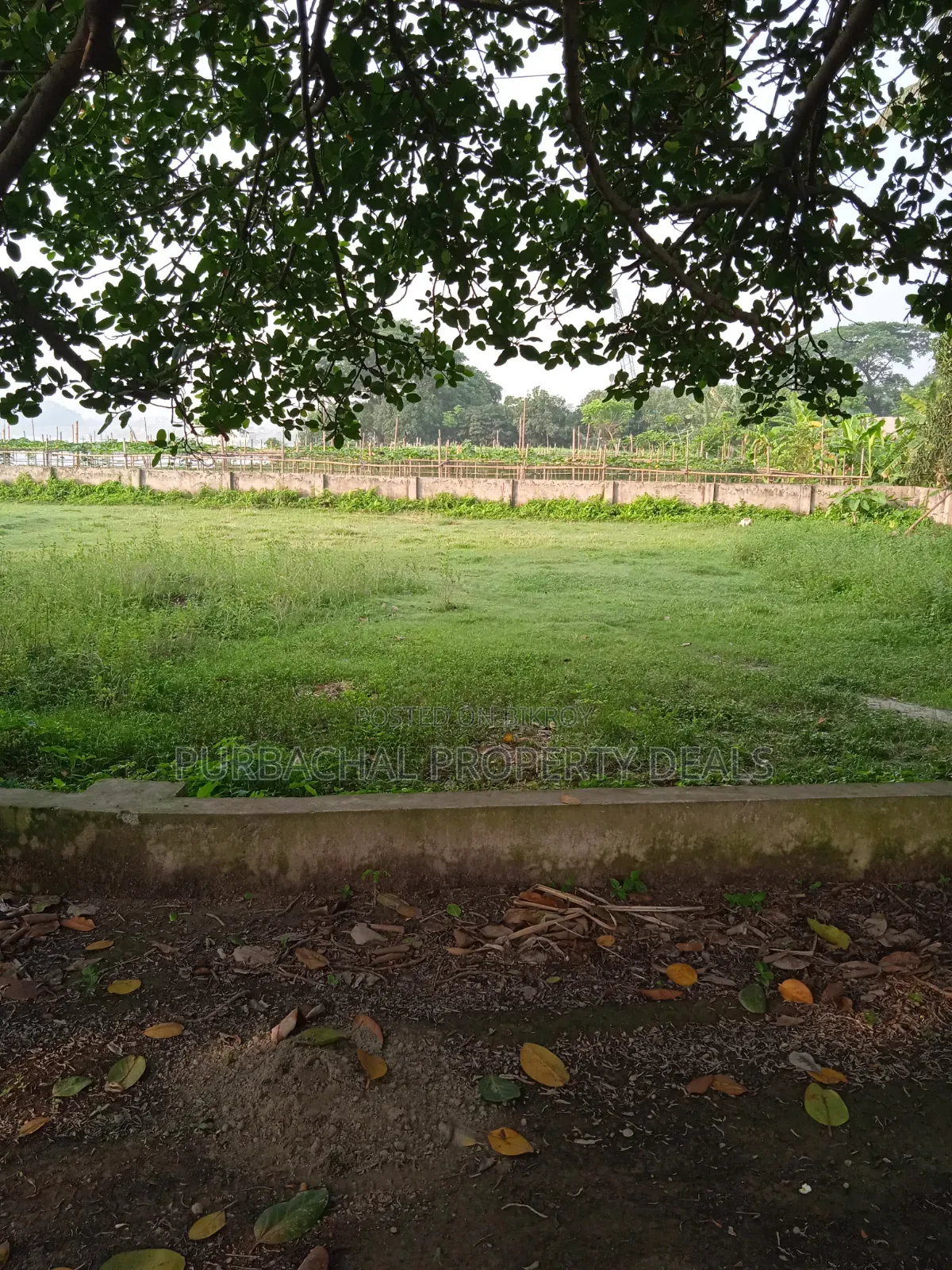 প্রকৃতির মাঝে শীতলক্ষ্যা নদী ভিউ ৩২ শতাংশ বাগান বাড়ির জমি বিক্রয় হবে
