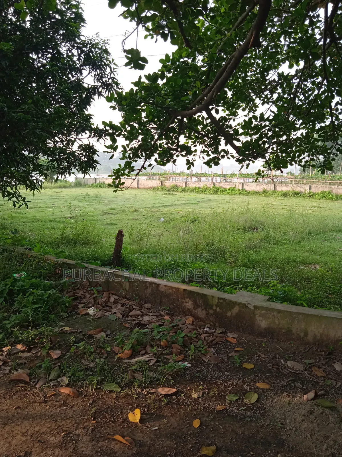 প্রকৃতির মাঝে শীতলক্ষ্যা নদী ভিউ ৩২ শতাংশ বাগান বাড়ির জমি বিক্রয় হবে