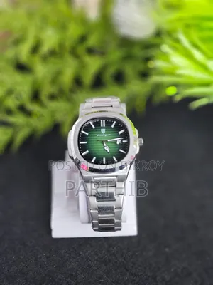 Premium Quality Watch at Offer Price