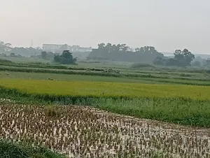 আবাসিক জমি বিক্রয় হবে