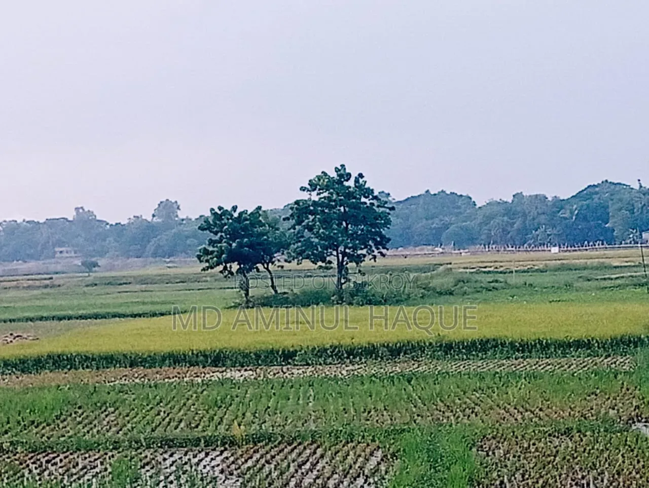 আবাসিক জমি বিক্রয় হবে
