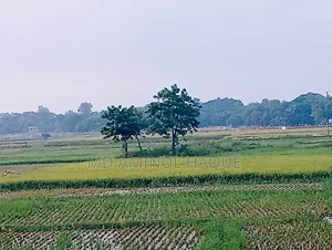 আবাসিক জমি বিক্রয় হবে