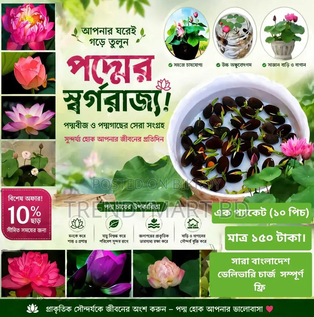 Create Your Own Lotus Paradise at Home for Only 150 Taka!