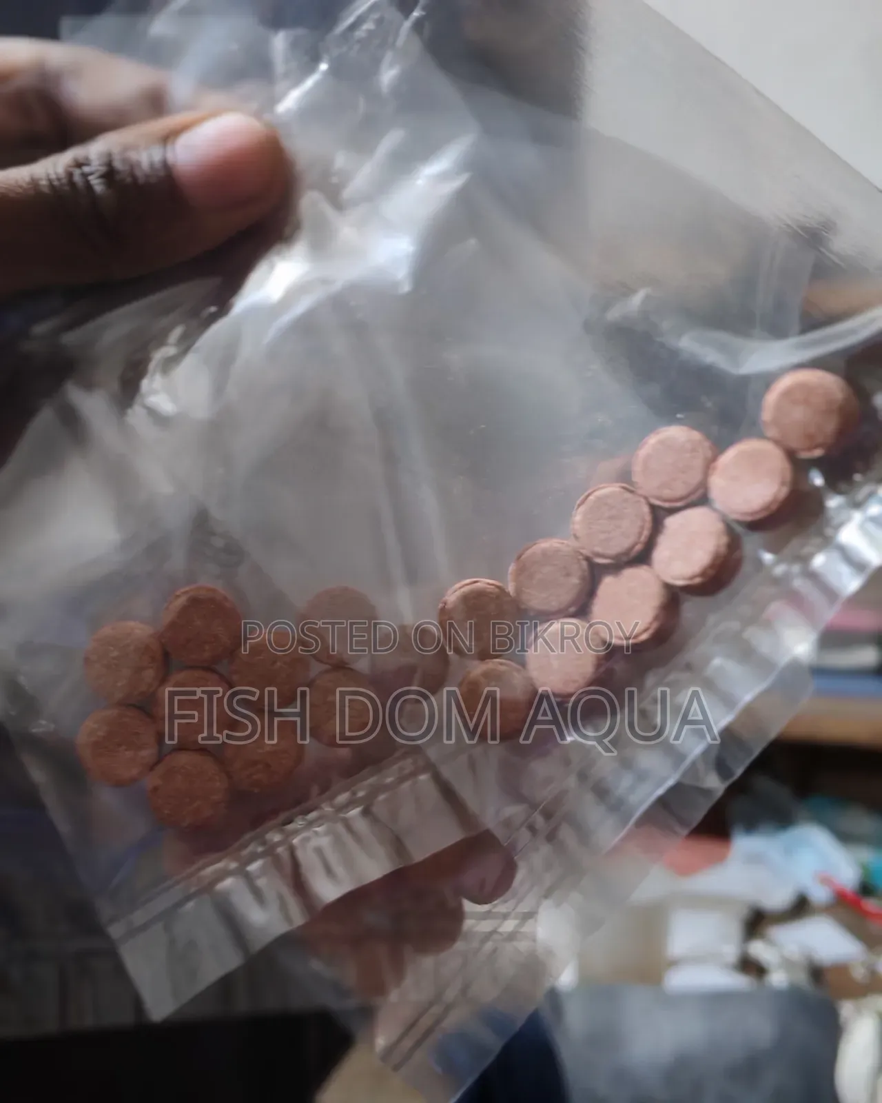 ই (Yee) ব্রাইন শ্রিম্প রিপ্যাক