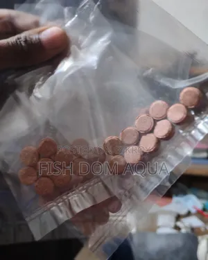 ই (Yee) ব্রাইন শ্রিম্প রিপ্যাক