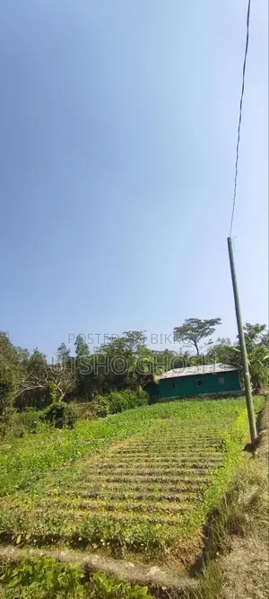 আনোয়ারা ৪ গন্ডা ২/৩ ক্রান্তি জমি বিক্রি হবে