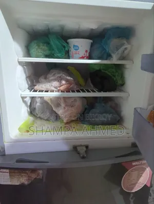 ওয়ালটন ১৭.৫ সিএফটি ফ্রিজ