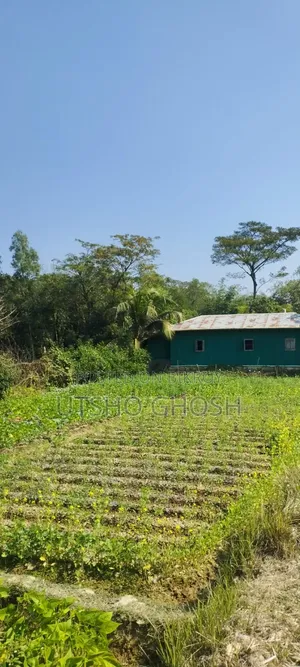 4 Gonda 2 Kranti Land for Sale in Anwara