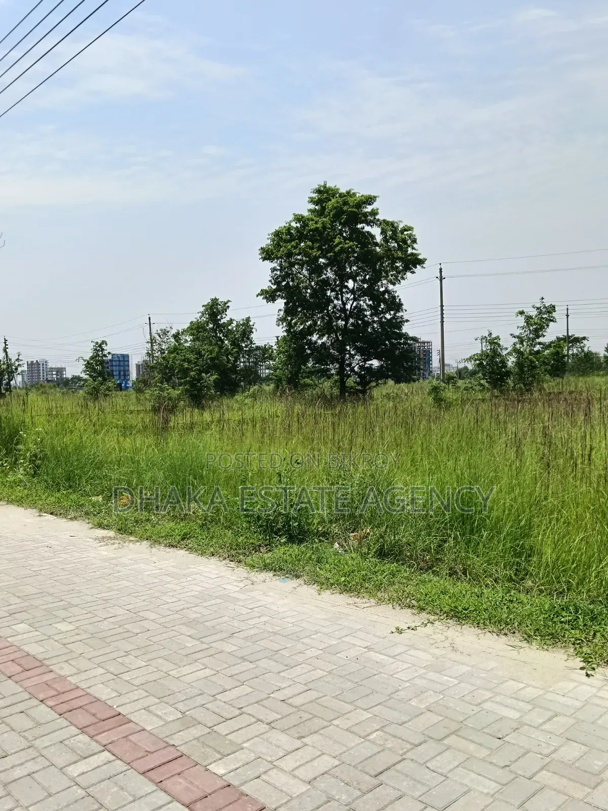 Block-N, South Facing Plot Sale