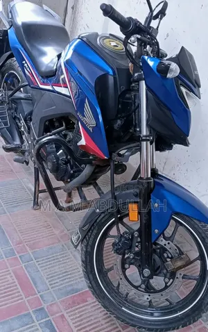 Honda Hornet 2022 Green