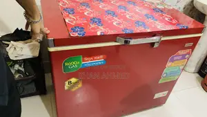 Chest Freezer Deep Fridge