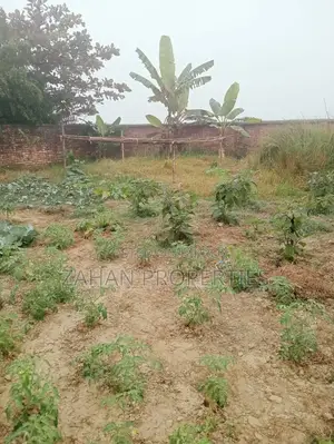 06 Katha Plot Sale in Bashundhara Residential Area