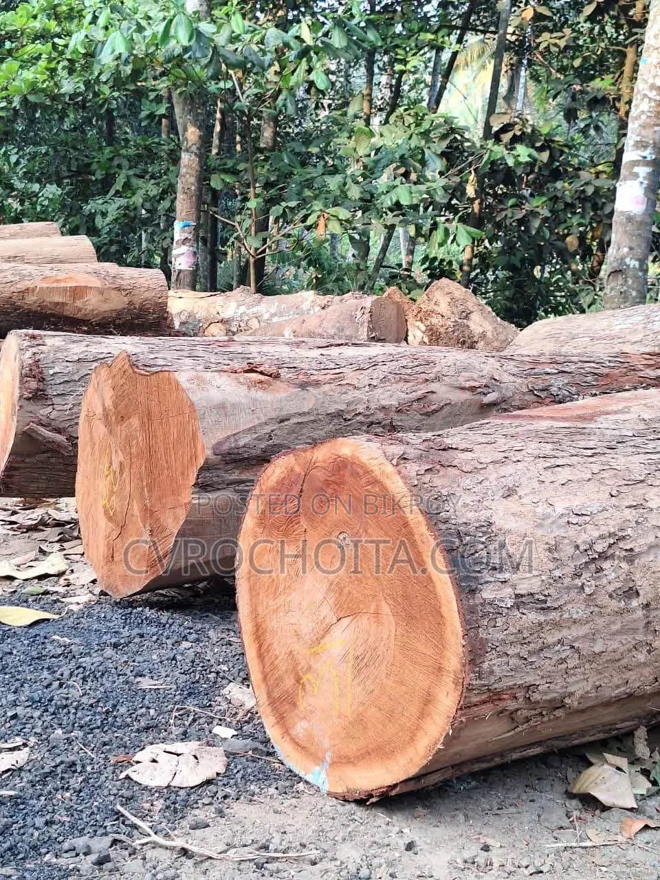 সেলস ম্যানেজার আবশ্যক!