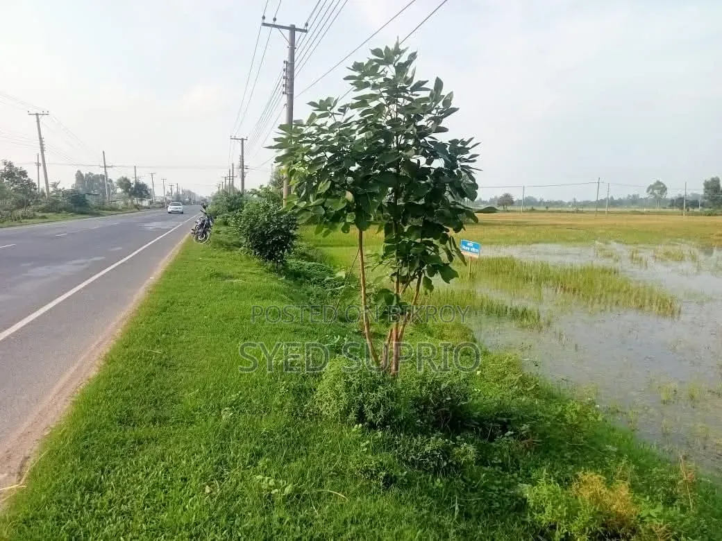 Land for Sale