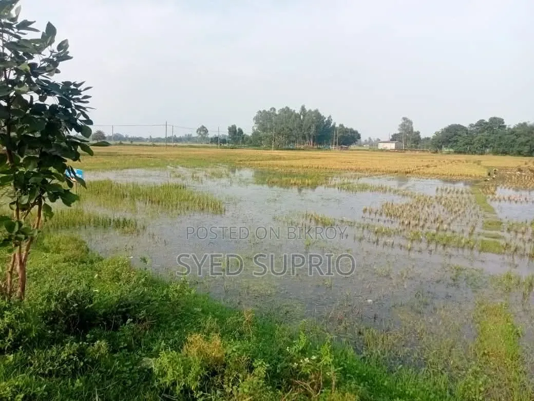 Land for Sale