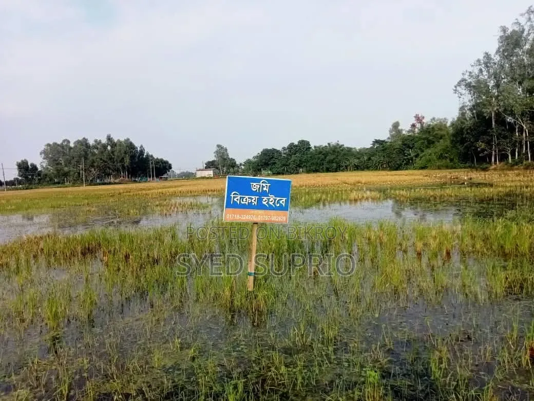 Land for Sale