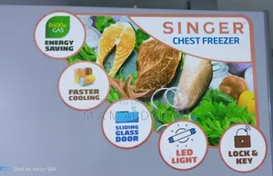 Singer Deep Freezer