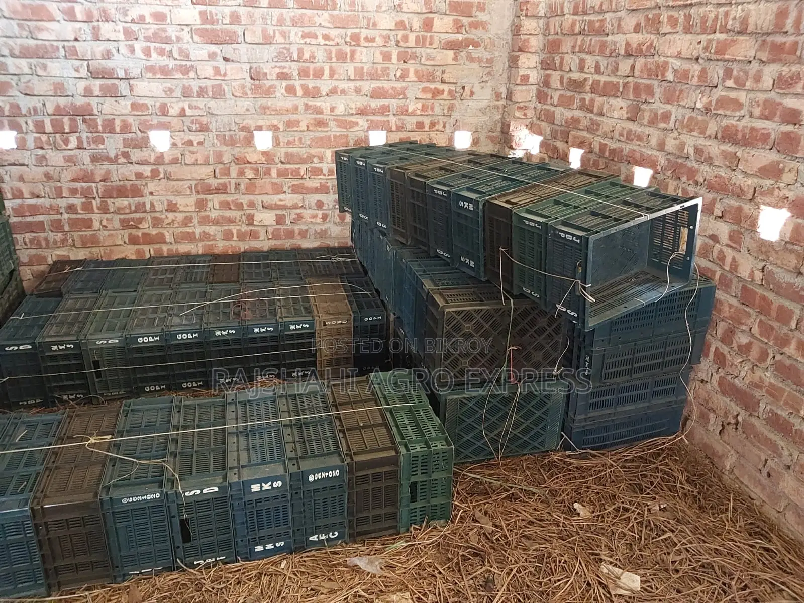 Plastic Crate - হ্যাফ প্লাষ্টিক ক্যারেট