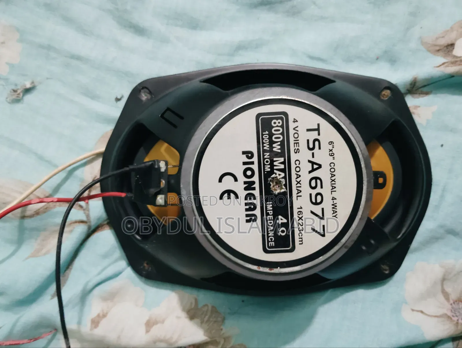 Pioneer Speaker