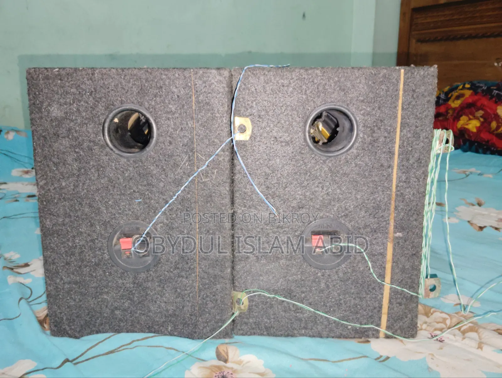 Pioneer Speaker