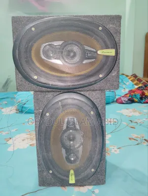 Pioneer Speaker