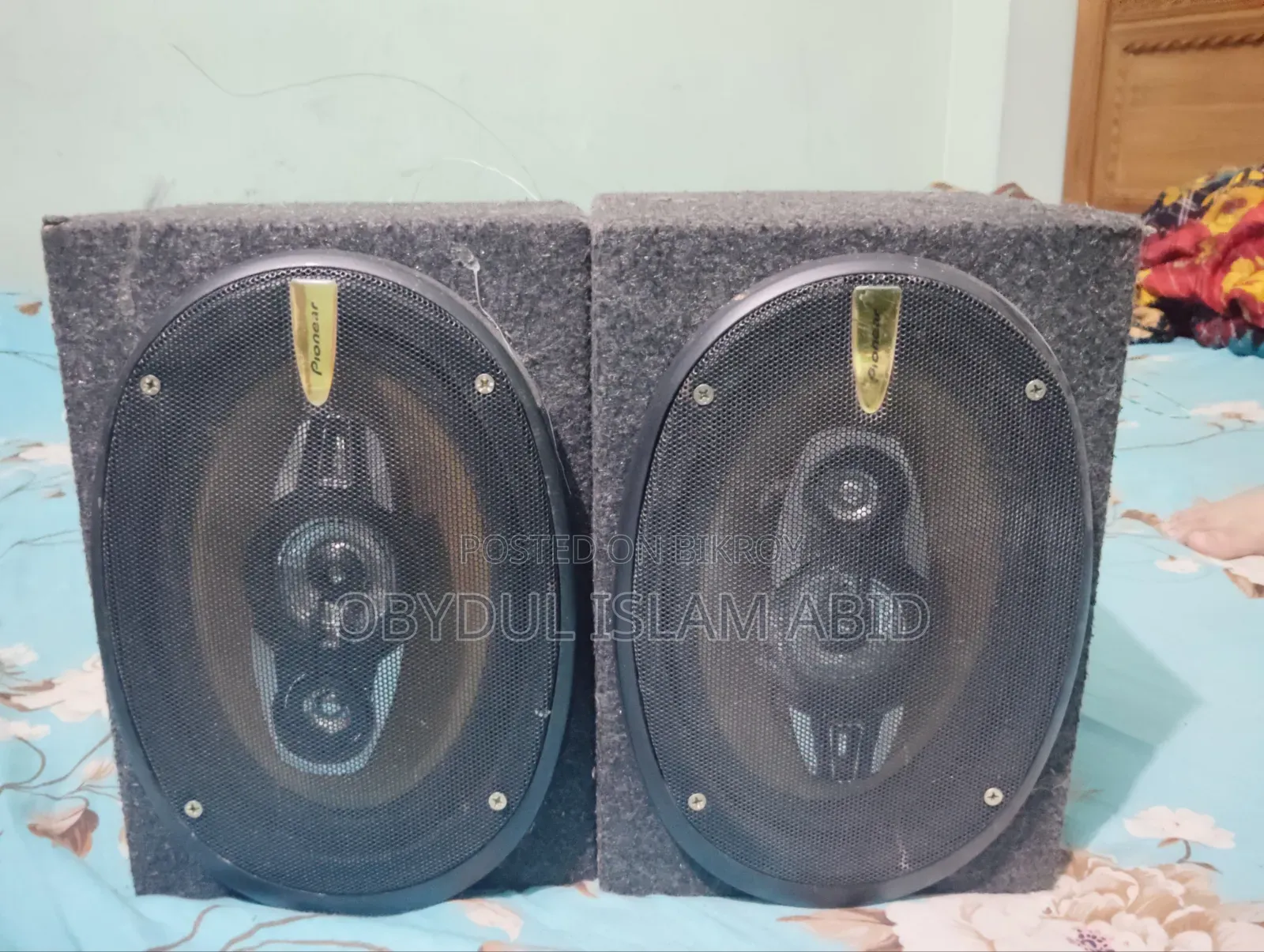 Pioneer Speaker
