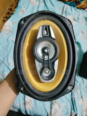 Pioneer Speaker