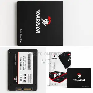 SSD 1 TB (Warrior)