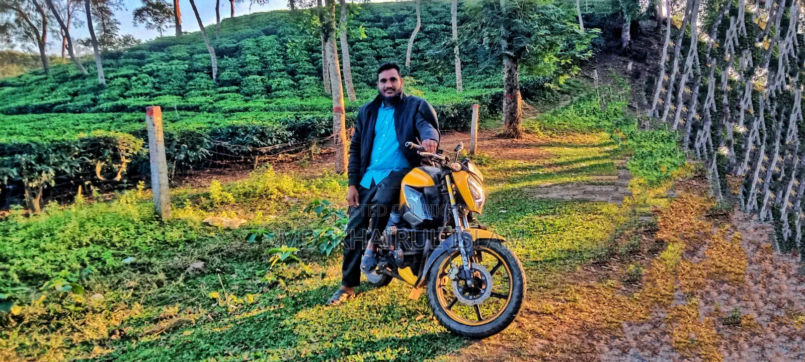 TVS Raider 125 2022 Yellow