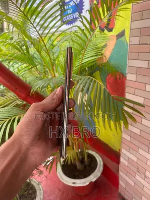 Infinix Note 40 Pro 5G 256 GB Green