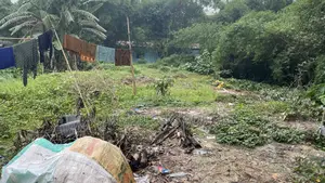 Land for Rent