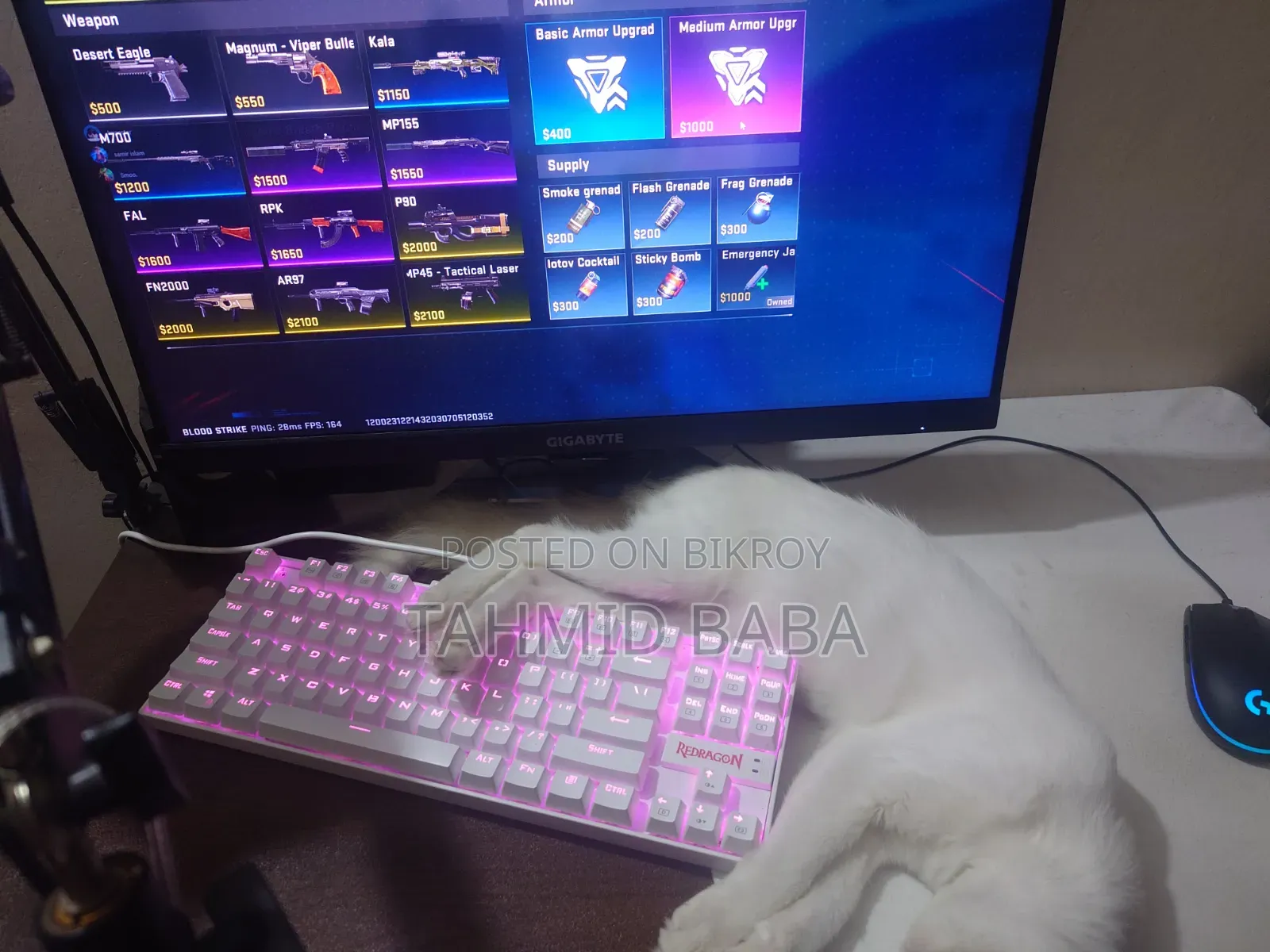 Gigabyte G24f 2