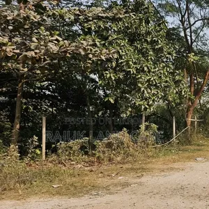 Sector 15/ B Road 3/ A Plot #