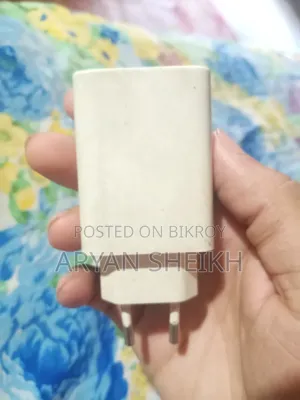 Vivo Charger