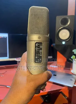Road Microphone