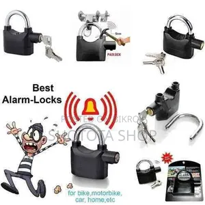Security Alarm Lock Smal