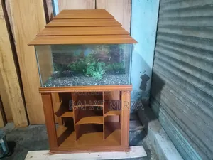 Fish Aquarium